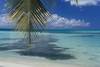Plage - Croisière à la Voile à Saint-Domingue 5D Sup + Hotel 5*