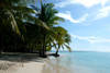 plage - Croisière à la Voile à Saint-Domingue 5D Sup + Hotel 5*