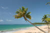 PLAGE - Croisière à la Voile à Saint-Domingue 5D Sup + Hotel 5*