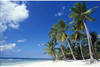 Plage - Voile à Saint-Domingue
