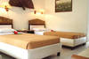 Chambre - Palm Beach