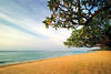 plage - grand hyatt