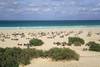 plage de l'hôtel - Lookea Boa Vista Cabo Verde