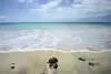 plage - olympien riu karamboa