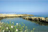 Plage - Cynthiana Beach