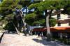 Promenade - Astarea