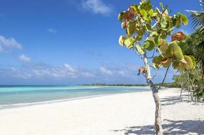 Cuba-Cayo Coco, Hôtel Melia Jardines Del Rey 5*