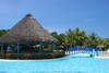 Piscine - Sol Palmeras