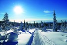 Finlande - Ivalo, Hôtel Samperrin Savotta 3*