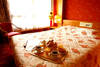 Chambre - Le Chastillon