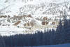 France Alpes - Isola 2000, Hôtel Le Pas du Loup Hiver 3*