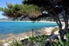 France Corse