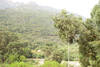 environs