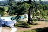 France Cote Atlantique - Cognac, Hôtel Domaine du Breuil 2*