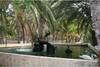 Jardin - Stella Dunas Resort