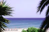 Mer - Monica Beach