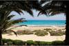 Nos bons plans vacances Fuerteventura