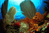 Guadeloupe