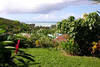 Jardin tropical
