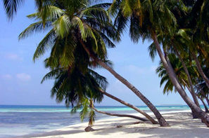 Guadeloupe-Pointe A Pitre, Combiné hôtels Basse-Terre en toute liberté à l'hôtel Caraibes Bonheur 4* & Marie-Galante à l'hôtel Cap Reva 3*