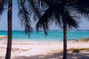 Plage - CARAIBES BONHEUR