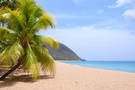 Guadeloupe - Pointe A Pitre, Résidence hôtelière CARAIBES BONHEUR 4*