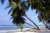 Résidence locative Résidence Bord de Mer Pointe A Pitre Guadeloupe