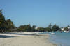 Plage - Le Palmiste