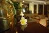Spa - Meridien Ile Maurice