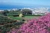 jardin botanique