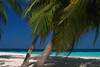 Plage - Fihalhohi Resort