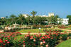 jardin - atlantic palace