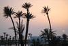 Maroc - Agadir, Hôtel Palais des Roses 5*