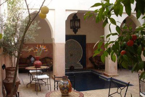 patio - Dromadaire Bleu