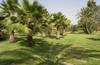 Jardin - Mansour Eddahbi