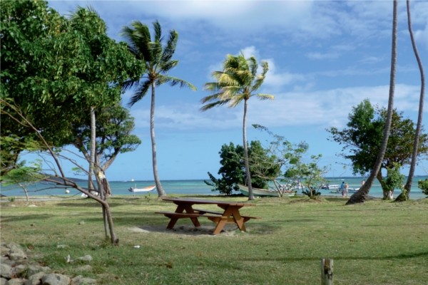 Image associée