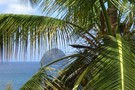 Martinique - Fort De France, Résidence hôtelière L'Ecrin Bleu 