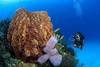 Nos bons plans vacances Martinique