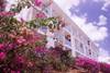 facade hotel - karibea camelia