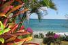 Plage - Diamant Beach