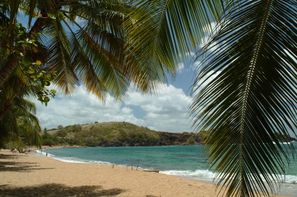 Martinique-Fort De France, Résidence hôtelière La Goelette