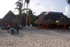 plage 2 - colibri