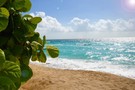 Nos bons plans vacances Mexique