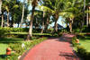 Jardins - Barcelo Dominican Beach