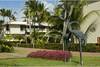 Jardins hôtel - Sirenis Cocotal Beach Resort Casino & Spa