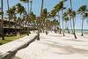 Hôtel Barcelo Bavaro Palace Deluxe 5* Punta Cana Republique Dominicaine