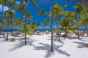 rencontre avec les dauphins punta cana