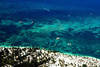 vue aérienne de la plage - ifa villa bavaro vue aérienne de la plage - ifa villa bavaro
