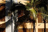 facade - Tropic
