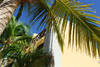 Facade - Tropic